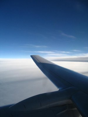 IMG_0142.JPG