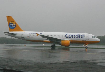 Condor_.jpg