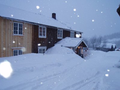 Bilder januar 2005 web6.jpg