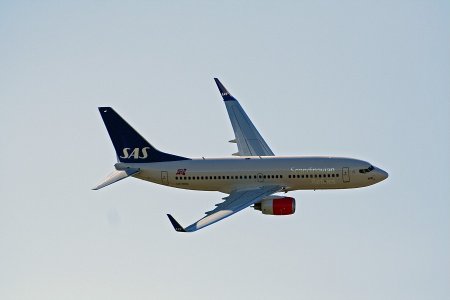 img_2500_1.jpg