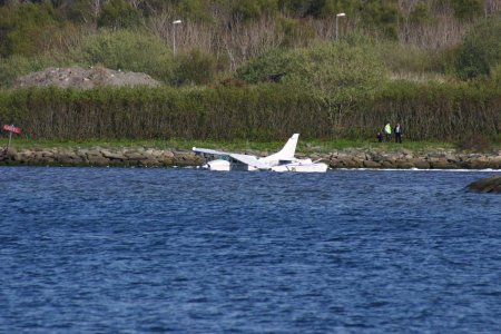 ln-bfq.jpg