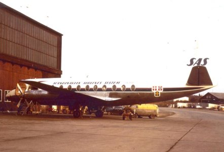 LN-FOI.jpg