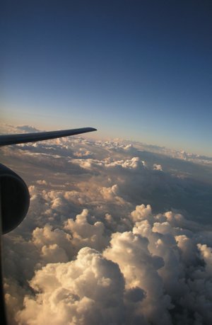 P5300144.JPG