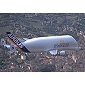 media_object_image_thumbnail_124x124_beluga_over_city_sml.jpg
