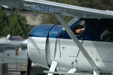 beaver7.jpg
