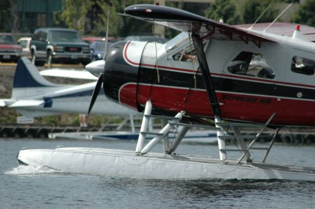 beaver8.jpg