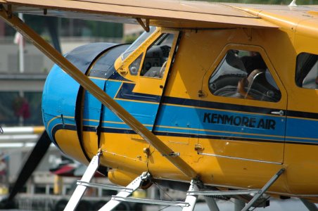 beaver12.jpg