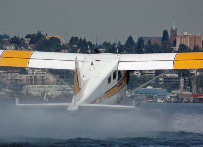 beaver13.jpg