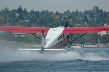 beaver14.jpg