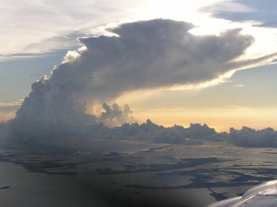 y1010026.JPG