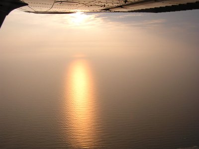 y1010009(1).JPG