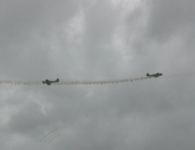 Foto_039_.jpg