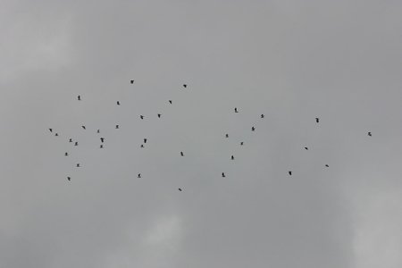 Foto_046_.jpg