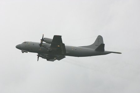 Foto_64_.jpg