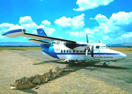 African-preflight.jpg