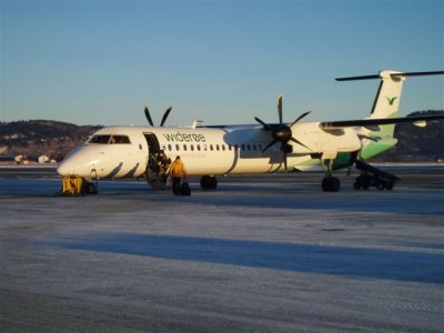 WF354-03dec  LN-WDB.jpg