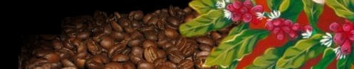 peaberry.jpg