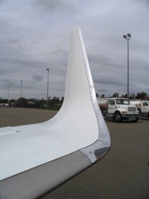 wing.JPG