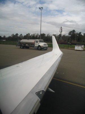 wing2.JPG