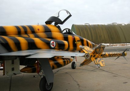 RN_134_TIGER (26) [800x600].JPG
