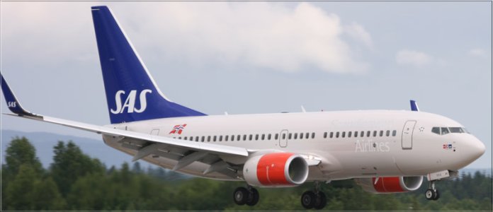 SAS-WINGLETS.jpg