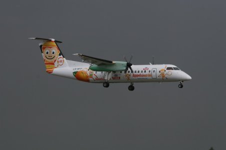 ln-wfp.jpg