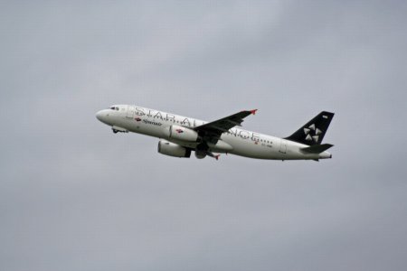 IMG_1055_2.JPG