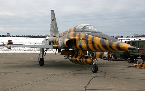 RN_134_TIGER (32).JPG
