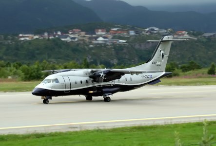 _MG_9937.jpg