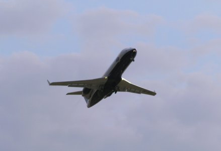 P8071051 edited.jpg