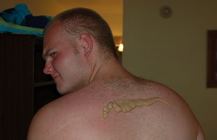 dsc_1568.jpg