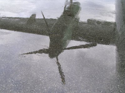 p8161366 edited 2.jpg