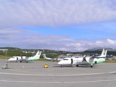 p8151294 edited.jpg