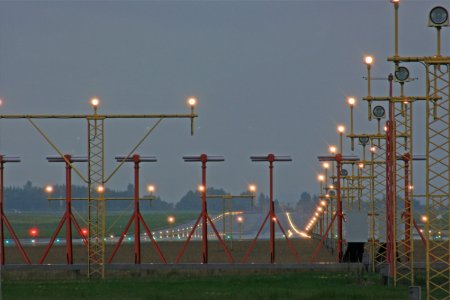 lys-2.jpg