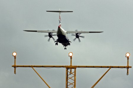 fly1-225.jpg
