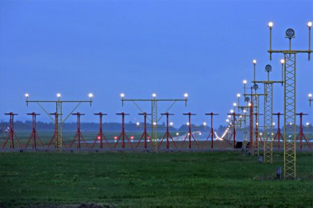lys-1.jpg