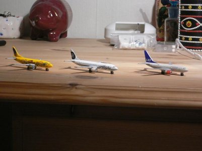flysalg1.jpg