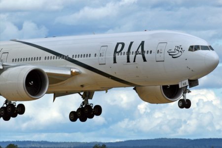 pia-2.jpg