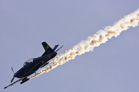 1y7j7593.jpg