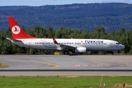 fly-132.jpg