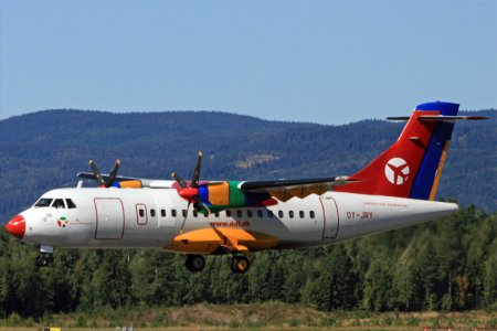 fly-210.jpg