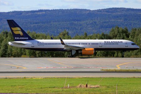 fly-355.jpg