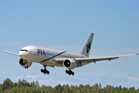 pia-1.jpg