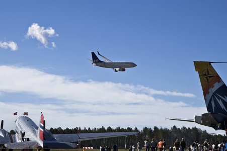 1y7j7702.jpg