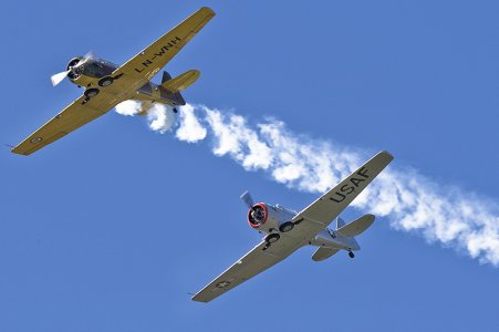 1y7j7907.jpg