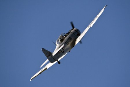 img_8168.jpg