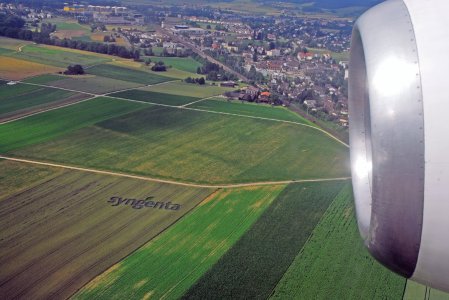 syngenta.jpg
