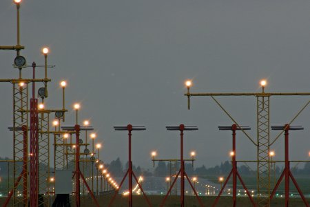 banelys-2.jpg