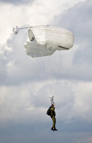 para-4539.jpg