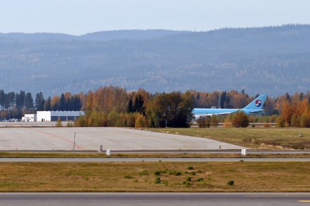 bolde-1.jpg